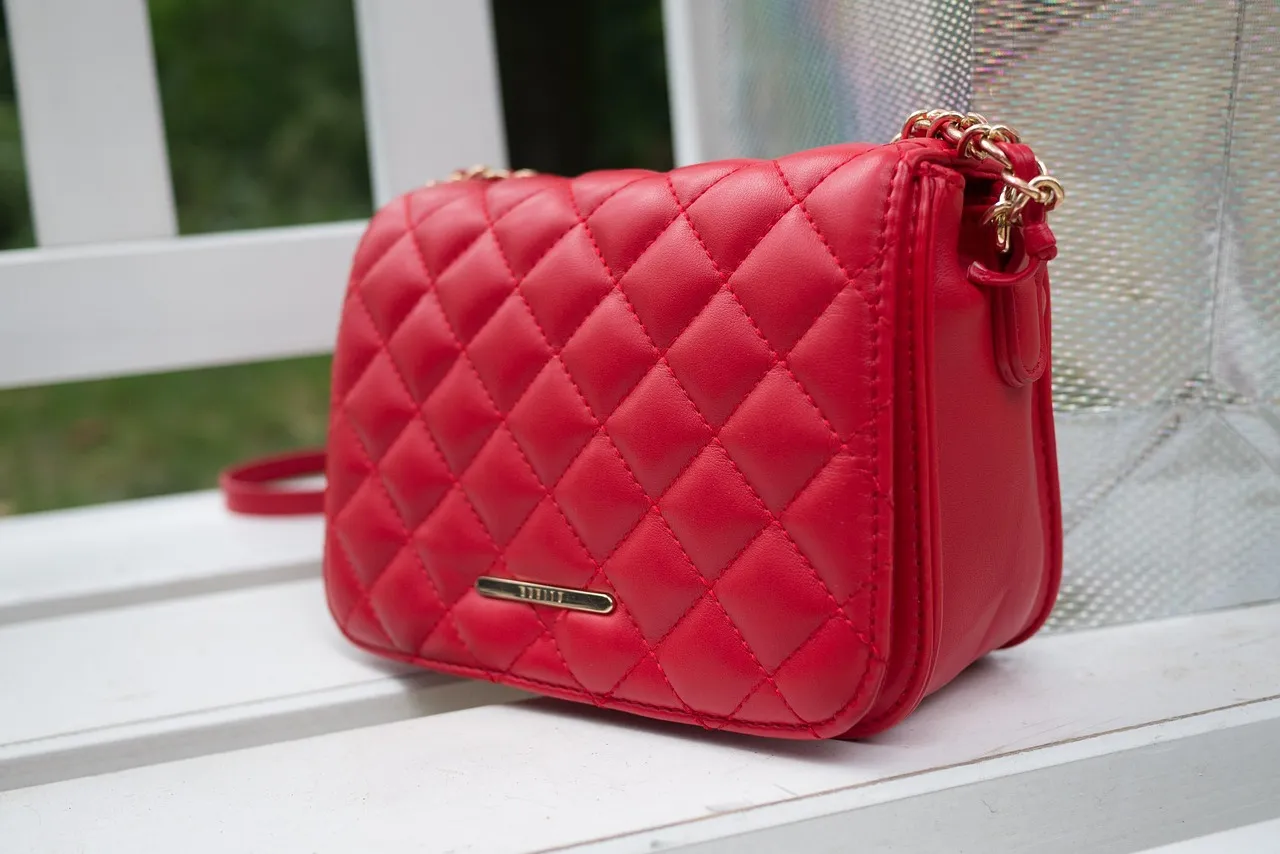 Baggit Red Quilted Crossbody Bag โ image 1